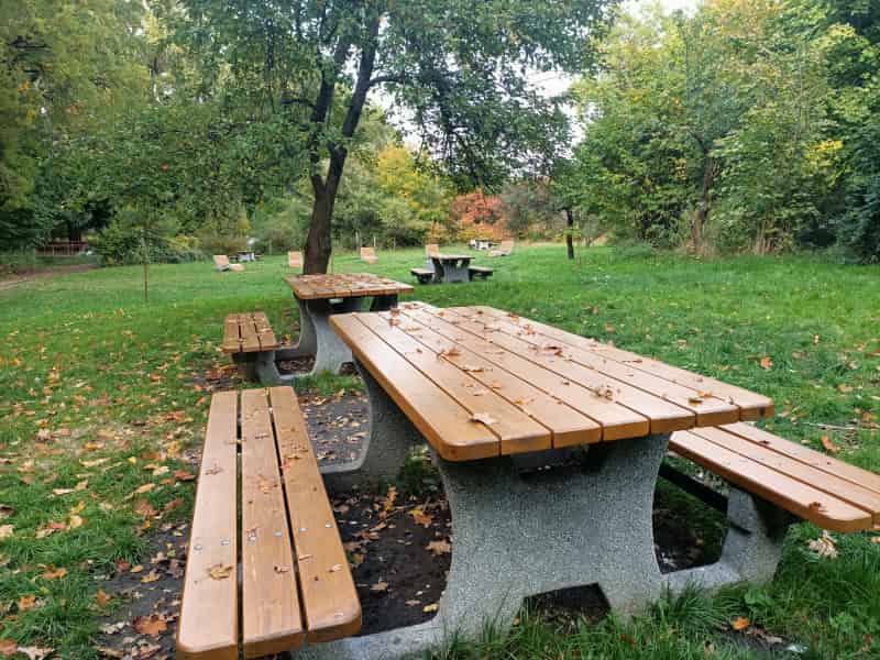 Zielona Góra Jesienią