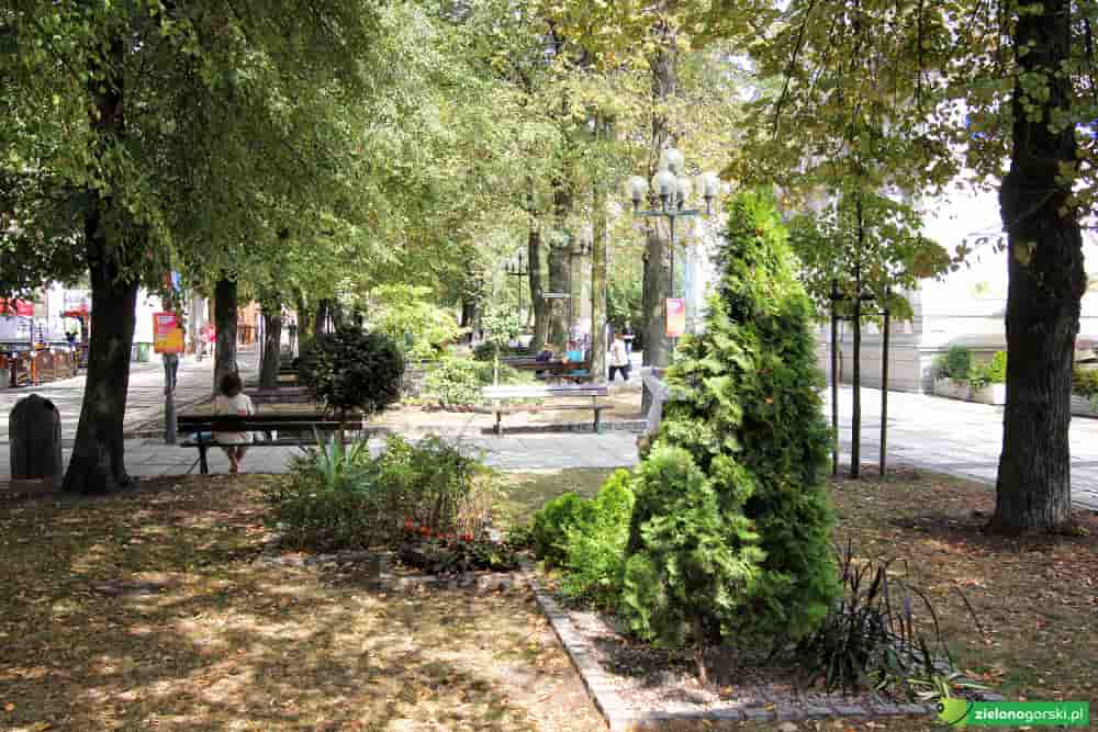 zielonogórski deptak