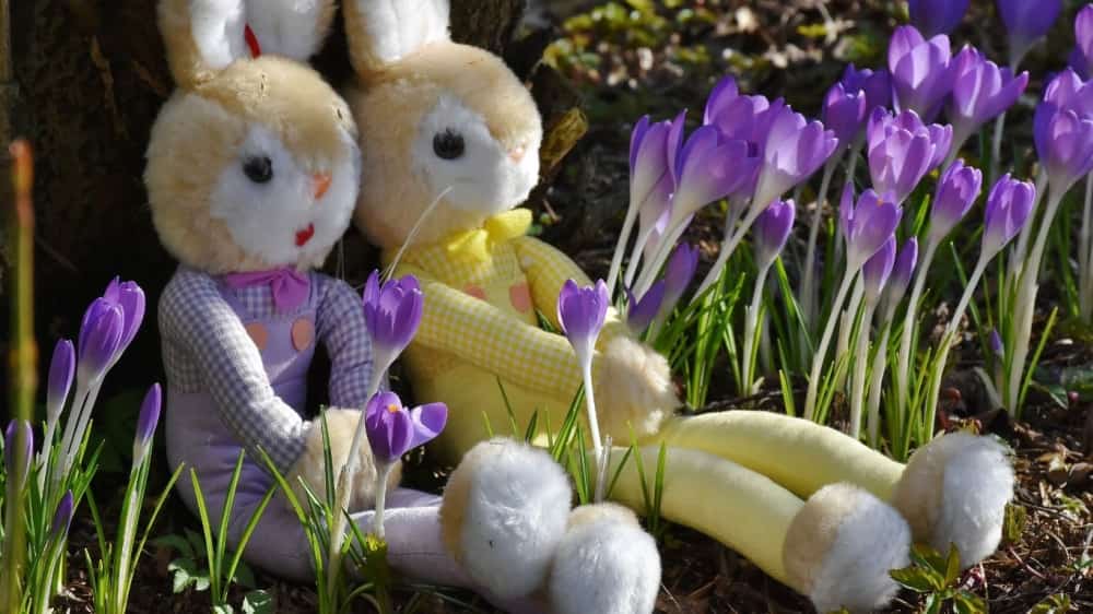 Wielkanoc Zielona Góra