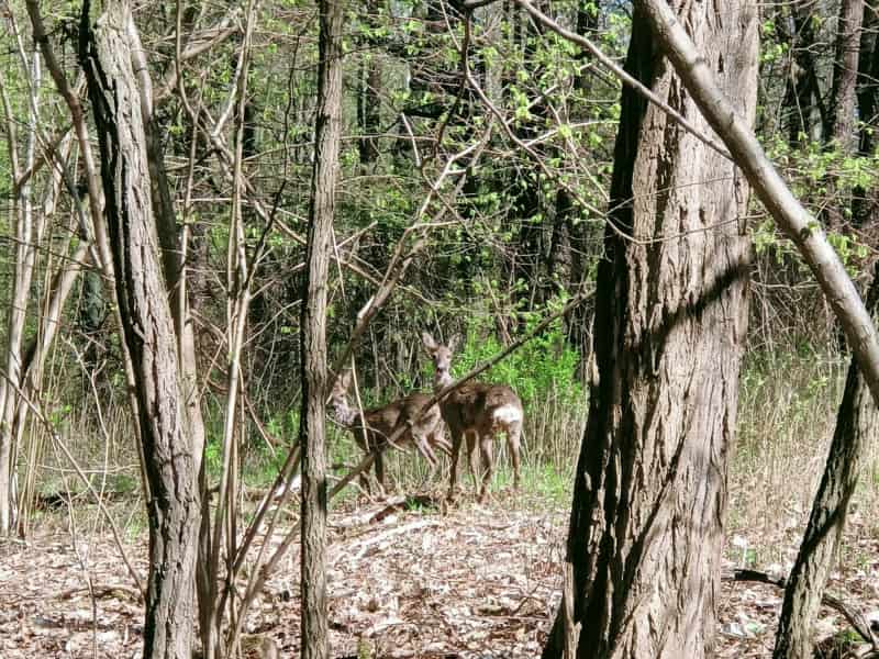 Park Poetów Zielona Góra