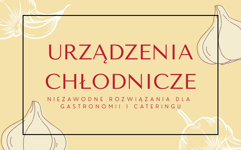 Urządzenia chłodnicze – niezawodne rozwiązania dla gastronomii i cateringu
