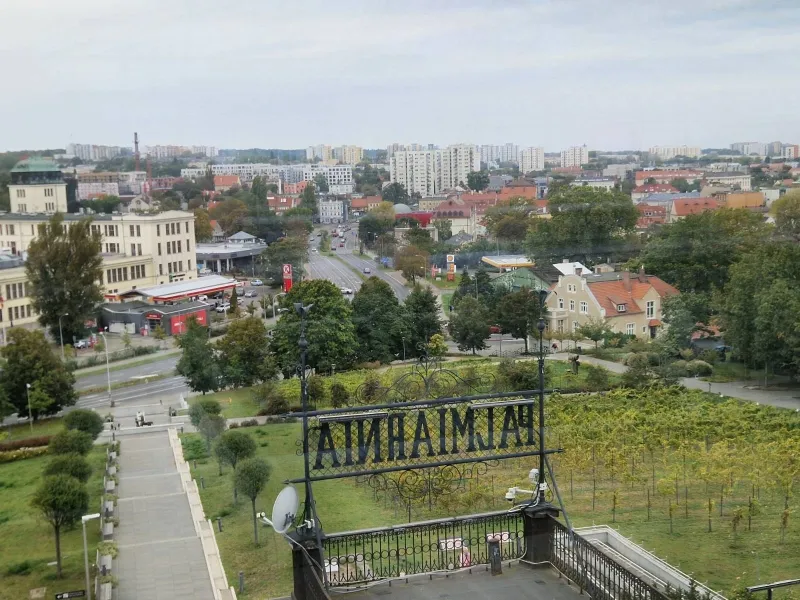 Palmiarnia Zielona Góra, fot. zielonogorski.pl
