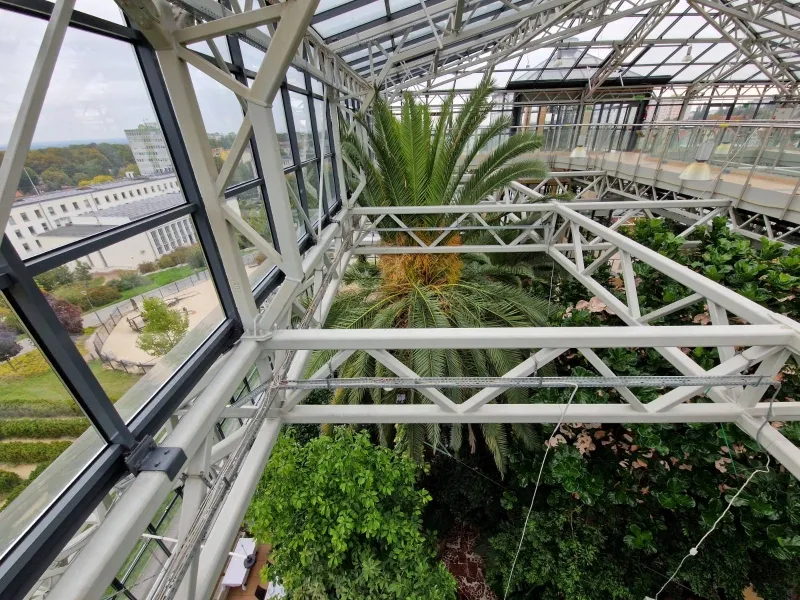 Palmiarnia Zielona Góra, fot. zielonogorski.pl