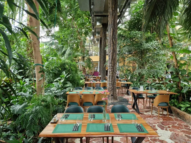 Restauracja Palmiarnia Zielona Góra, fot. zielonogorski.pl