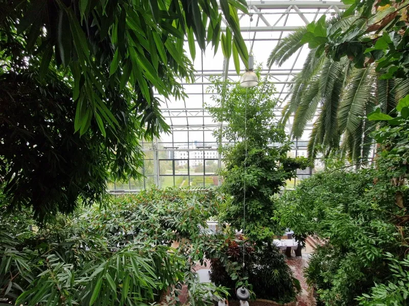 Palmiarnia Zielona Góra, fot. zielonogorski.pl